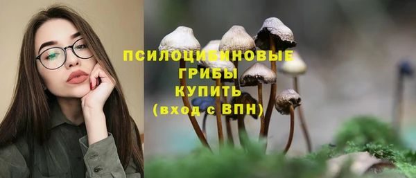apvp Балабаново