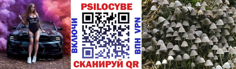 MEGA вход  Унеча  Галлюциногенные грибы ЛСД  купить закладку 