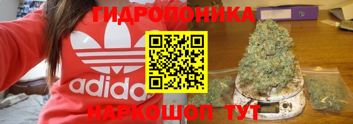 Марихуана тримм  Вход с VPN  Шишки марихуана AK-47  Унеча  Марихуана марихуана  МАРИХУАНА SATIVA & INDICA 